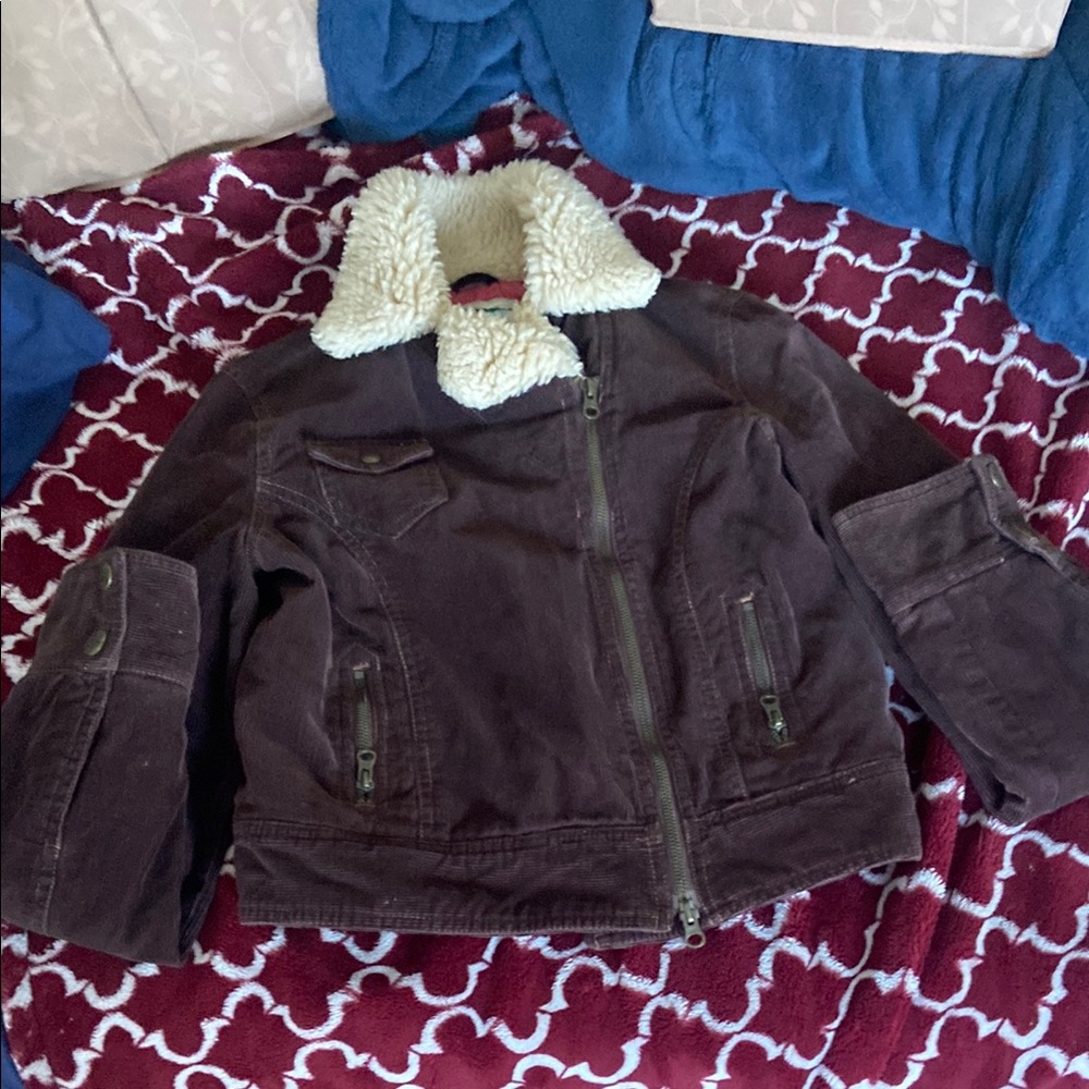 Brown Jacket with Cream Collar